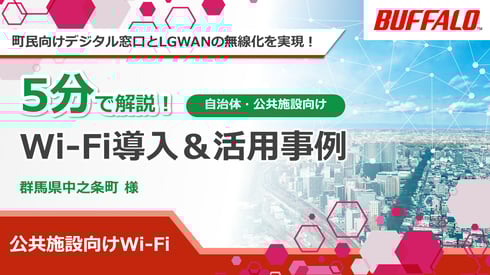 government-nakanojo-gunma_thumbnail02